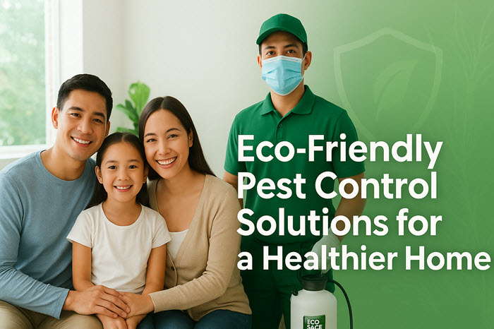 Eco-Friendly Pest Control Solutions for a Healthier Home